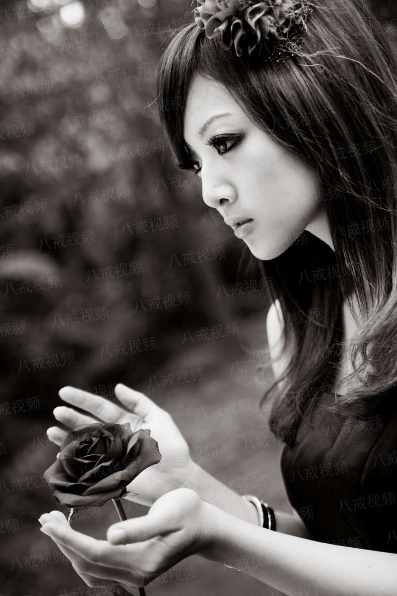 雀屏选（大唐帝后）