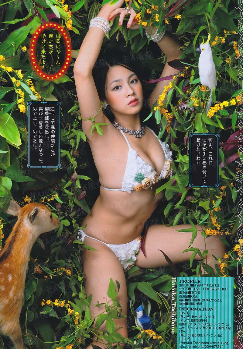 强者至尊韩三千