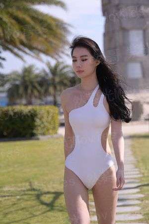 陆先生养狐成妻