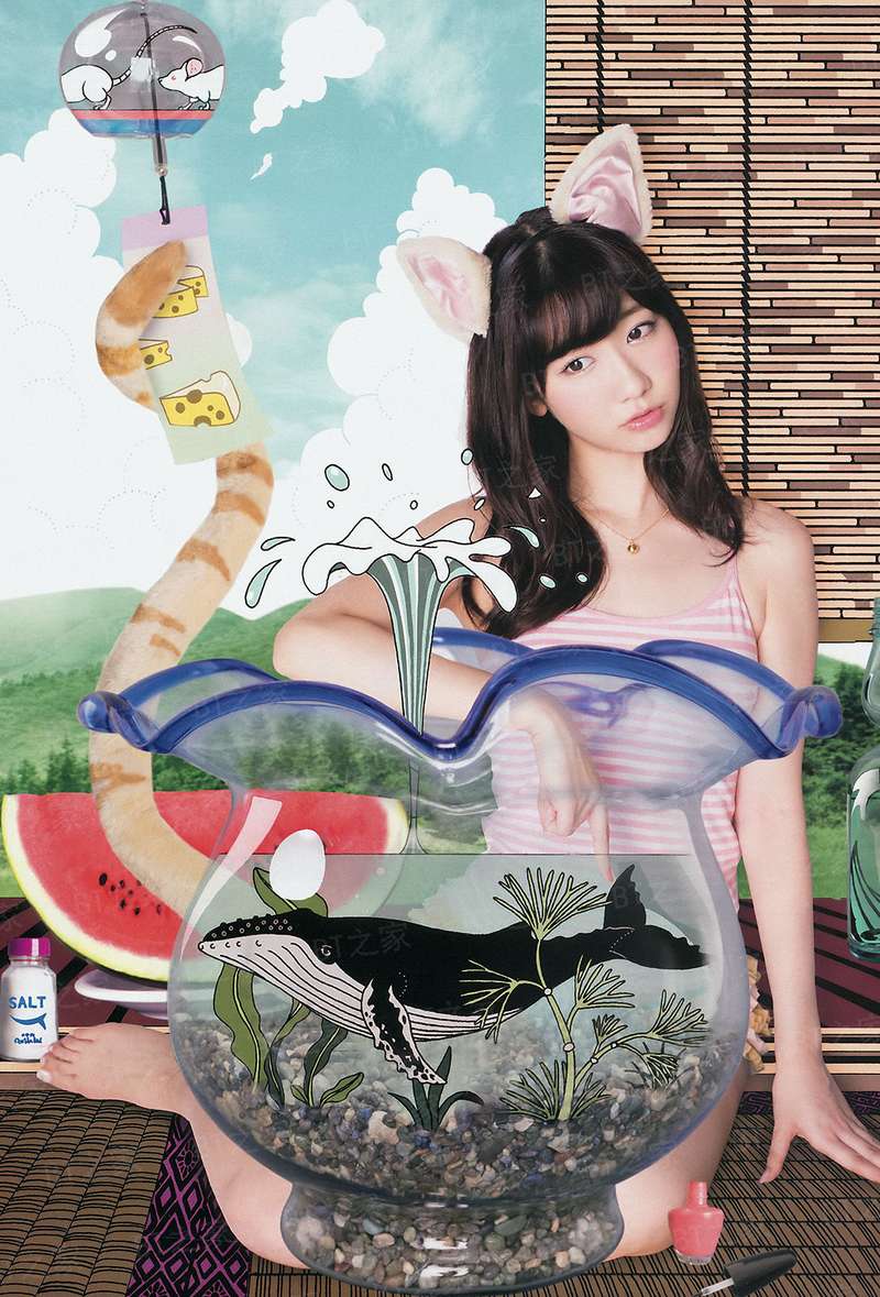 狼蛛游戏