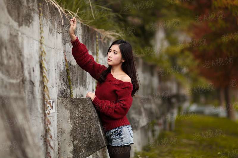 红楼之林家有妻