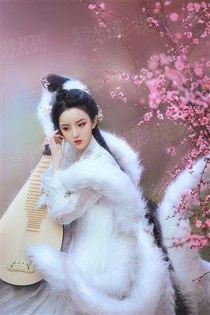 特殊案件组SCD0