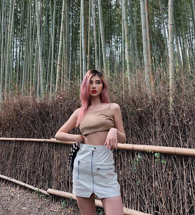 苍狼