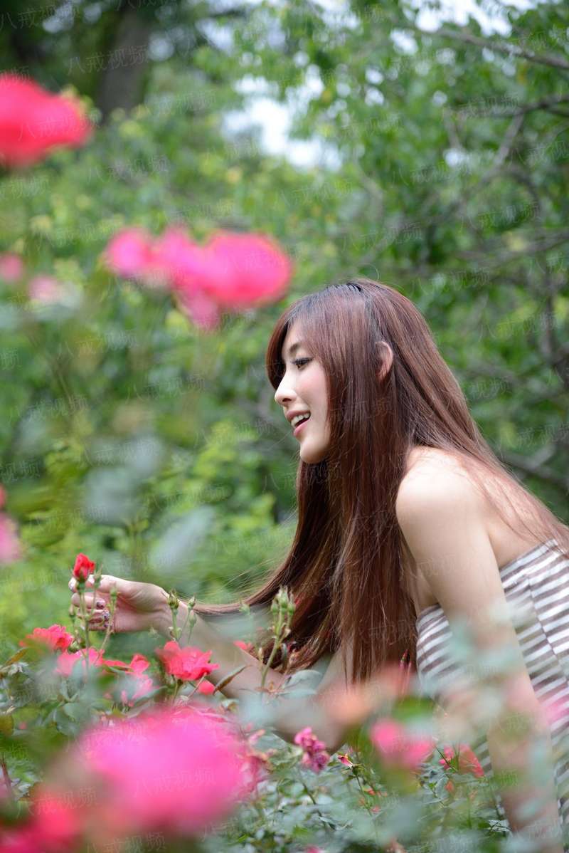 浪蝶狅花