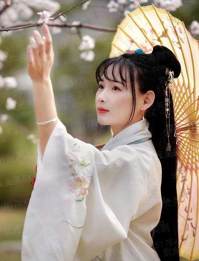 最强大脑 第八季 升级版