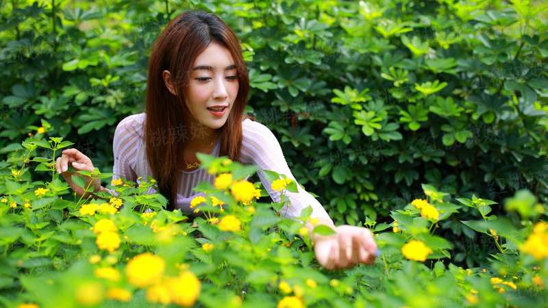 我家娘子是女皇