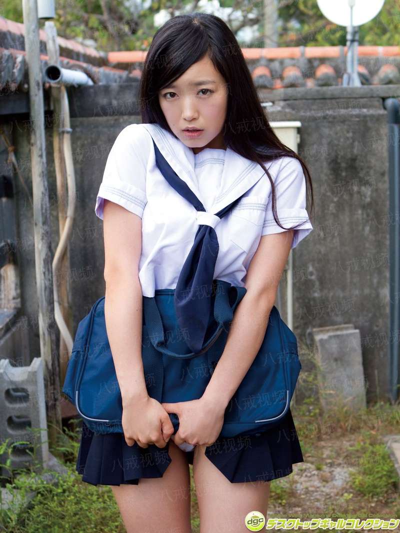 口袋妖怪之长风雁
