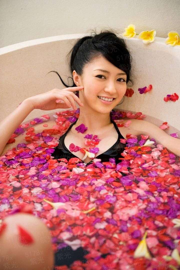 一条狗的使命