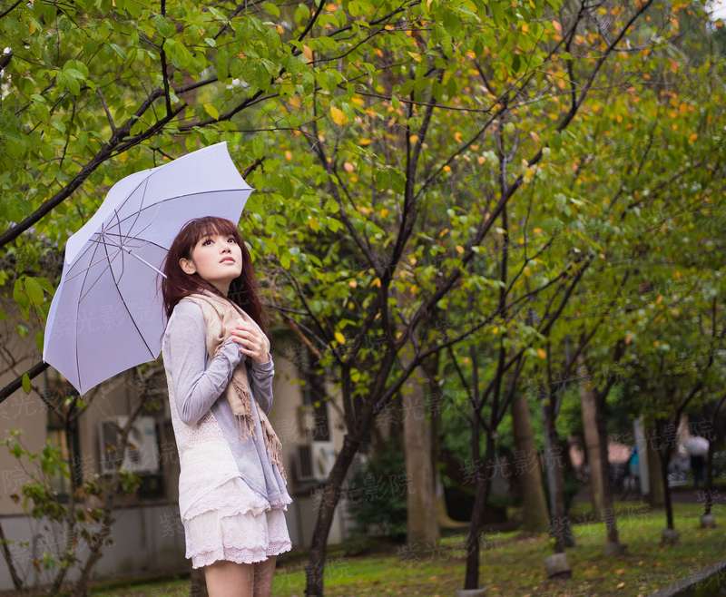 仙君多娇：桃花如此作妖