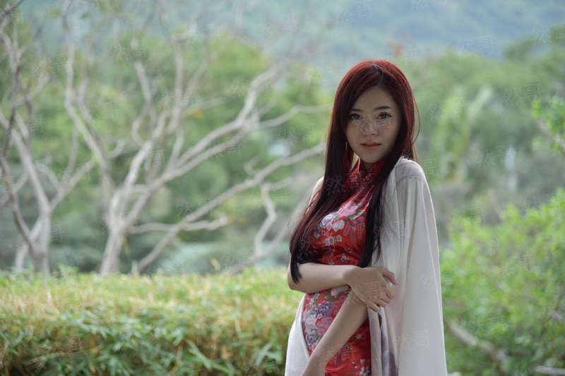 林家有女初修仙(合作)