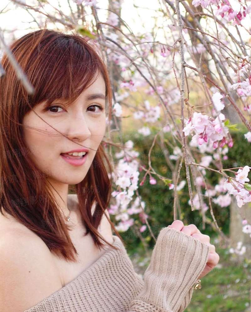 未来战域
