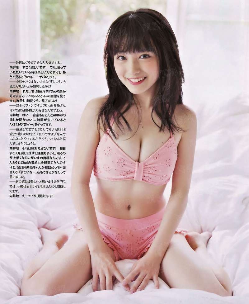 秦家的猫