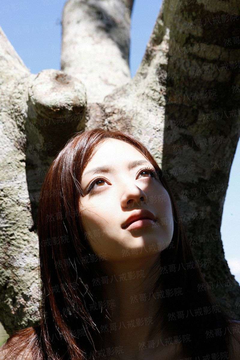 一顾已倾城