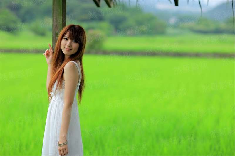 我的舰娘很科学