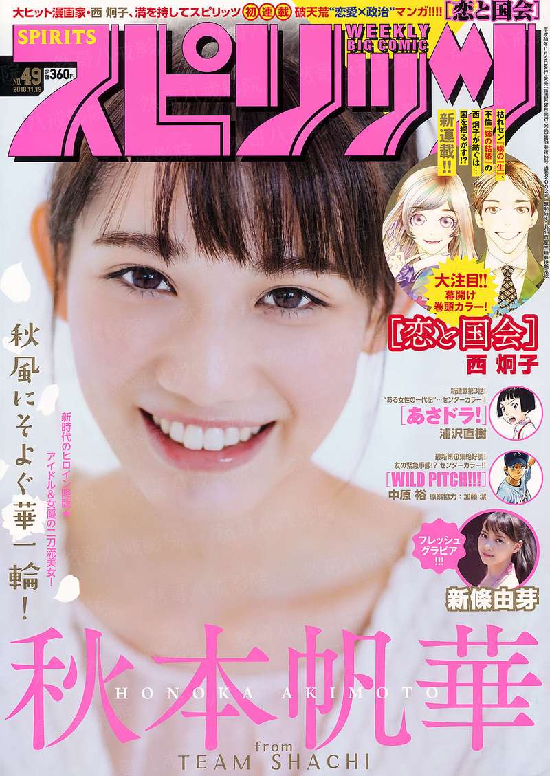 美女总裁之独霸枫林