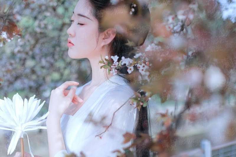 我剑舞天
