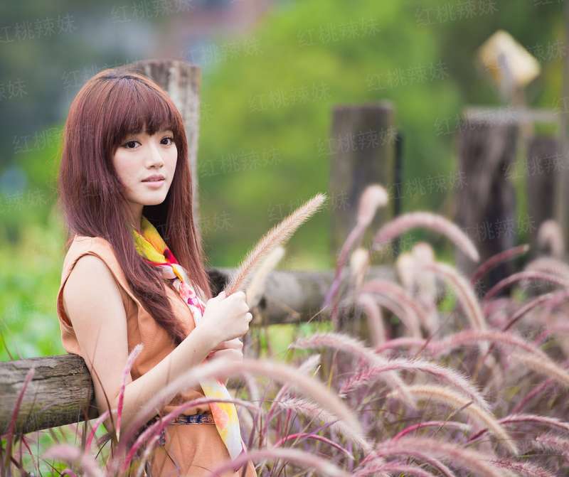 乱世美人谋