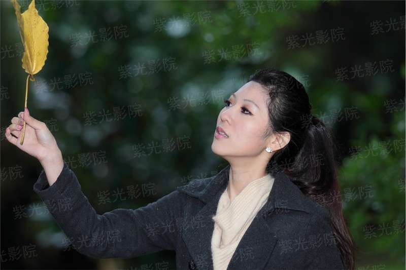 柚子联盟苹果ios下载安装