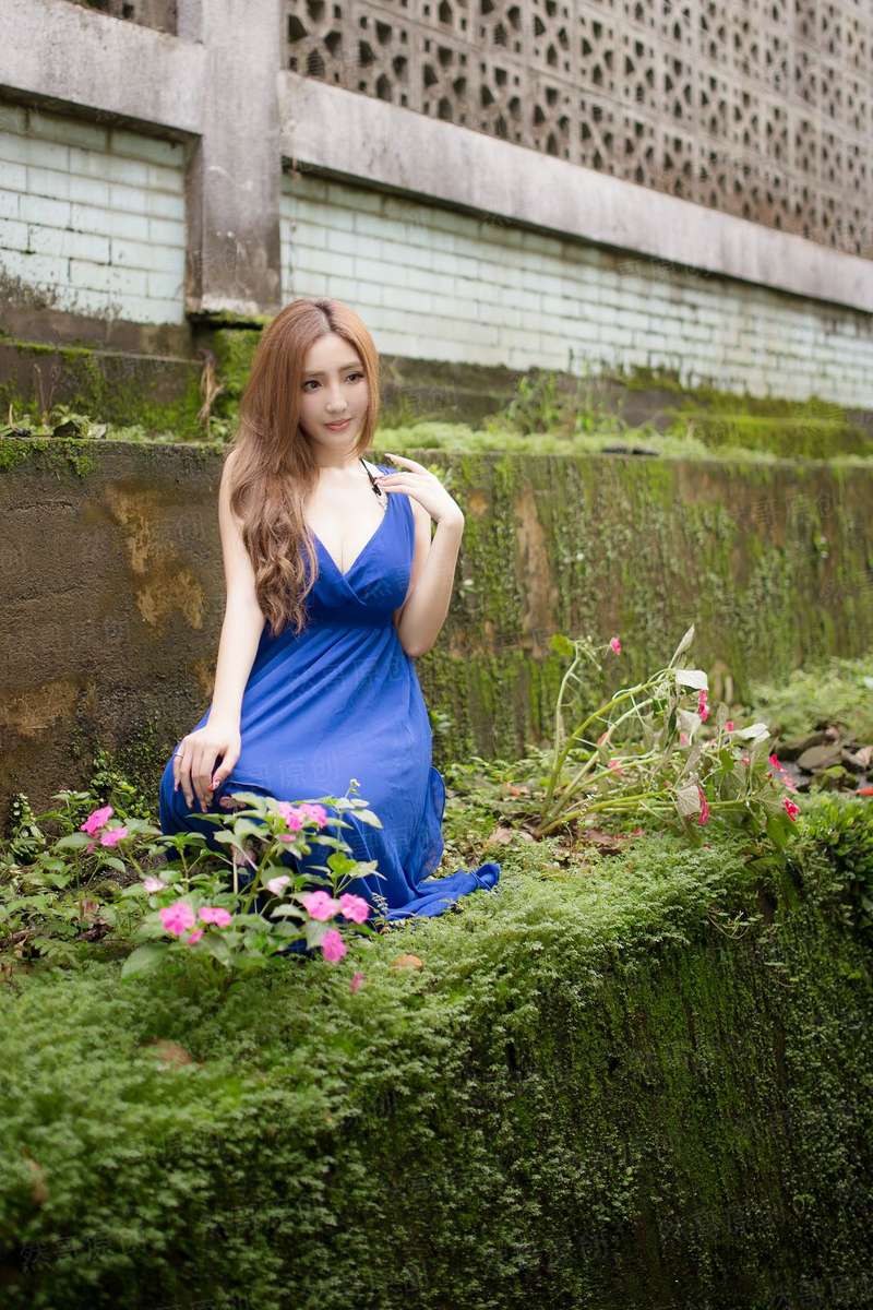 江湖藏娇客