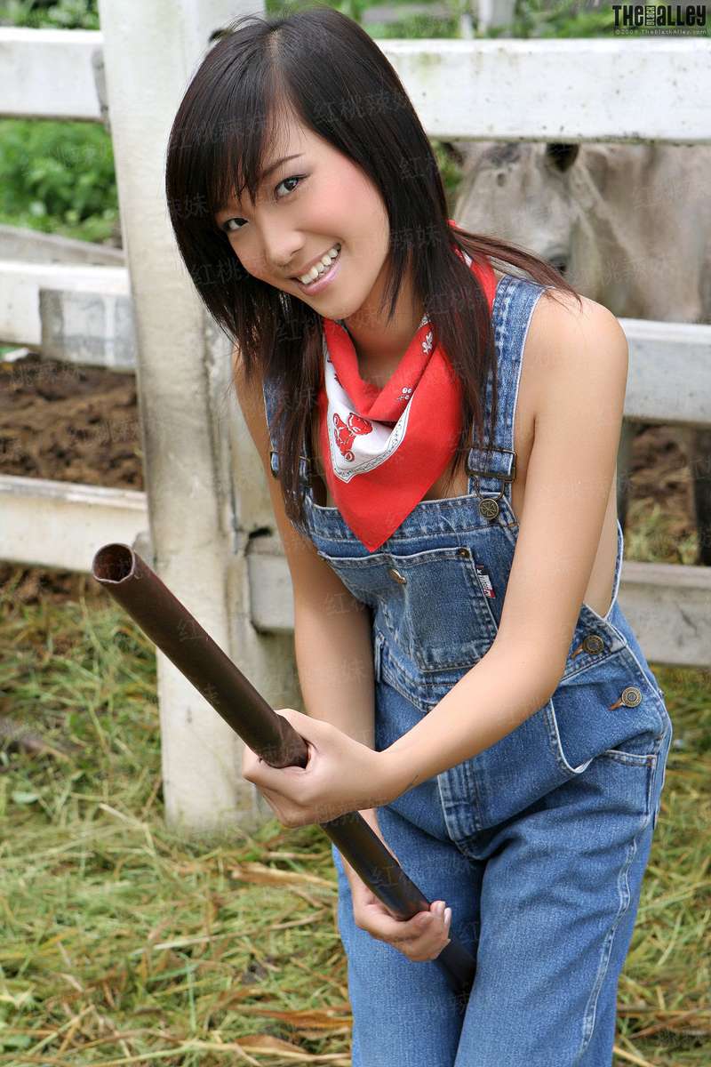 家有公婆剧情