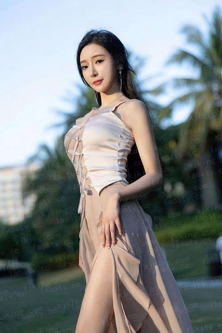 抵挡计划
