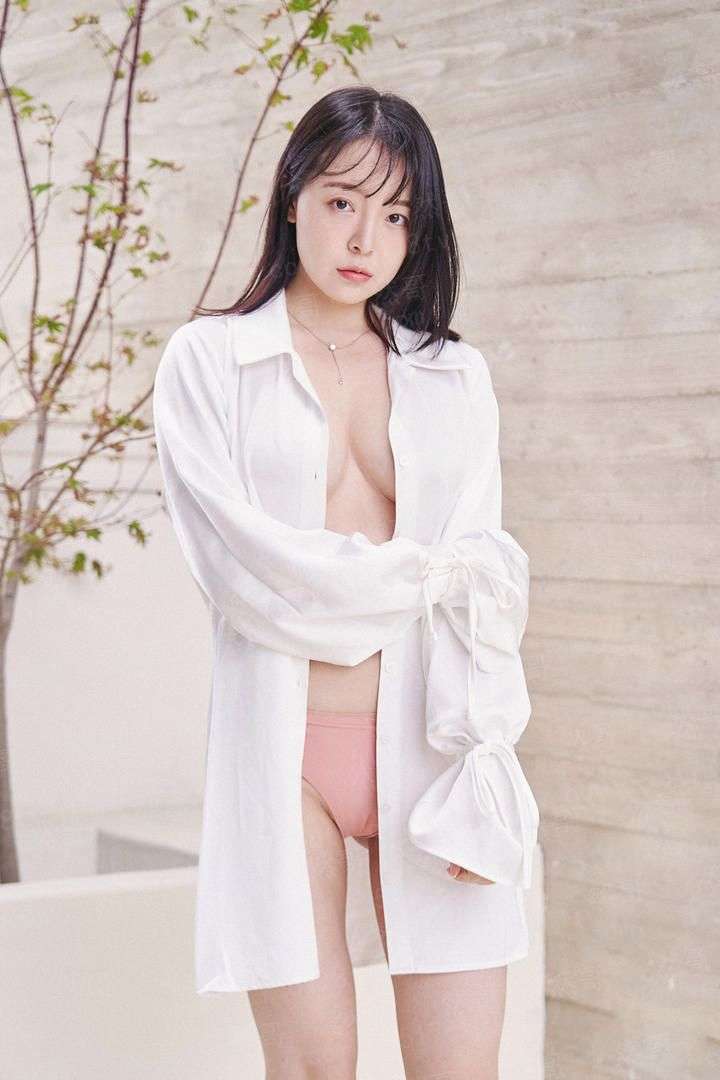 动漫世界的秩序守护者