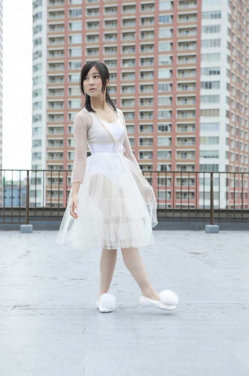 官道之主