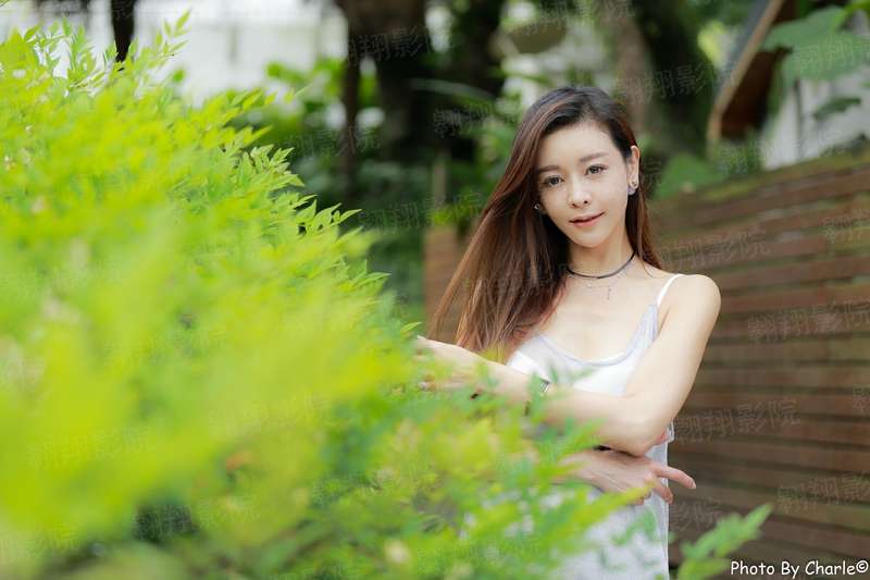 护宝联盟