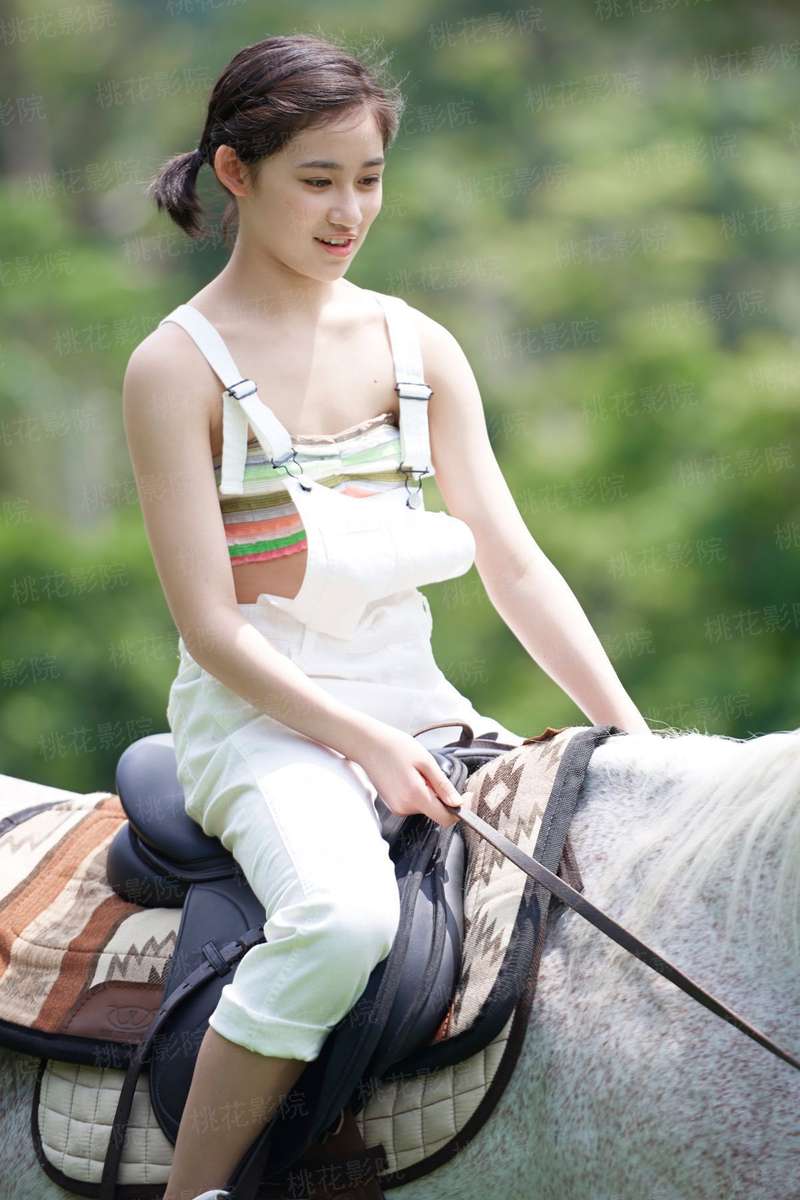 与鲨鱼游弋