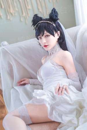 盖世邪妃之凤鸣天下