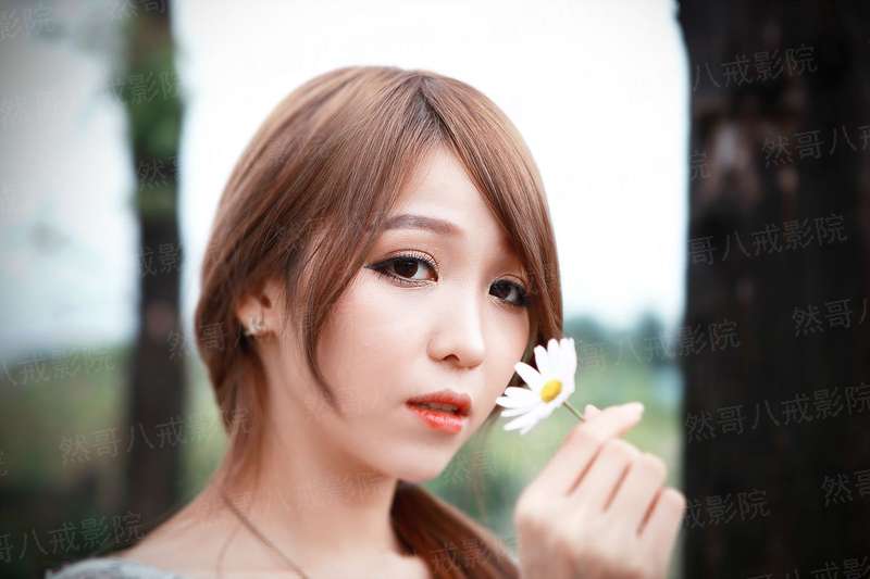 凤御天下