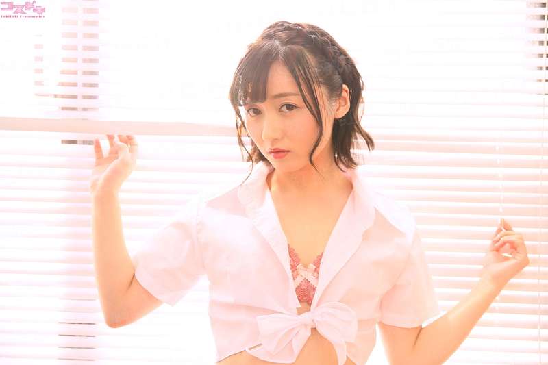 全系精灵