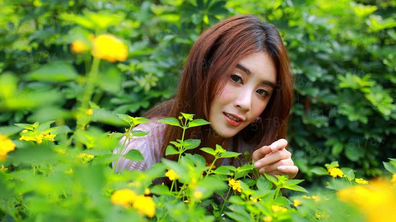 宋家有位胖姑娘