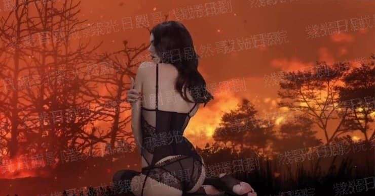 上海红美丽