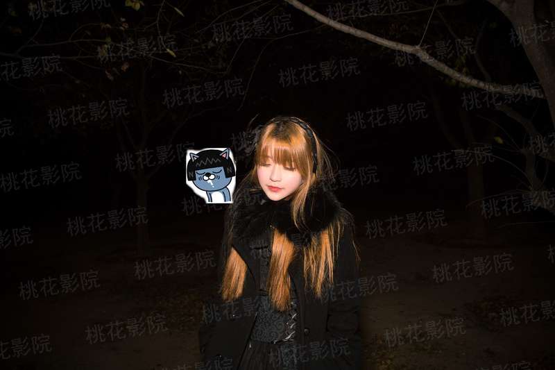 我的随想传记