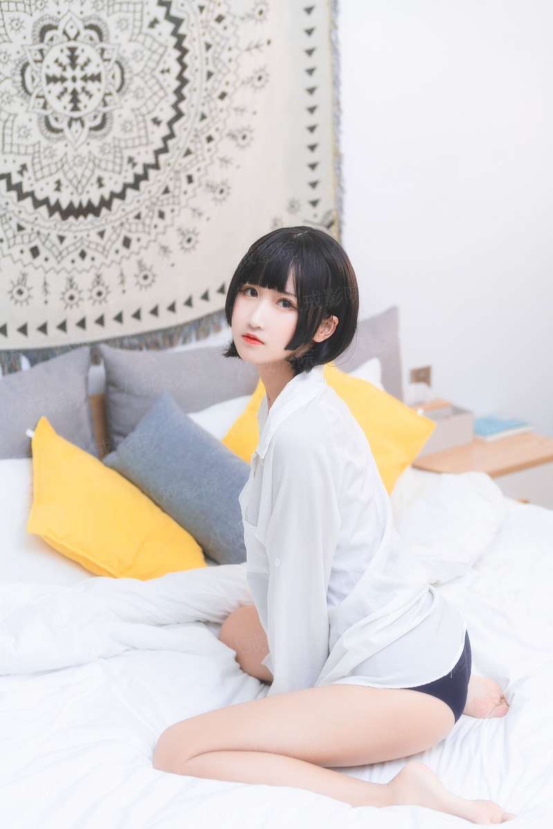 广东卫视春节晚会2023