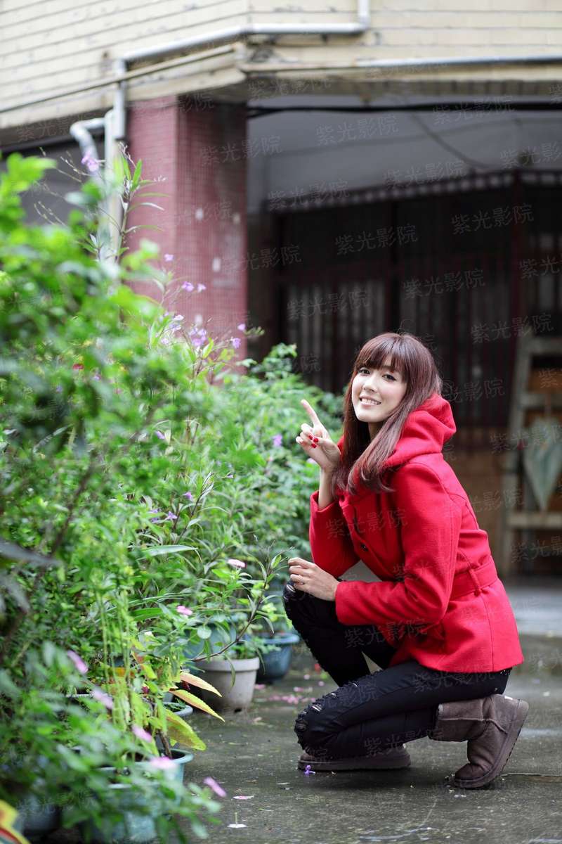 何风扬夏诉缱绻