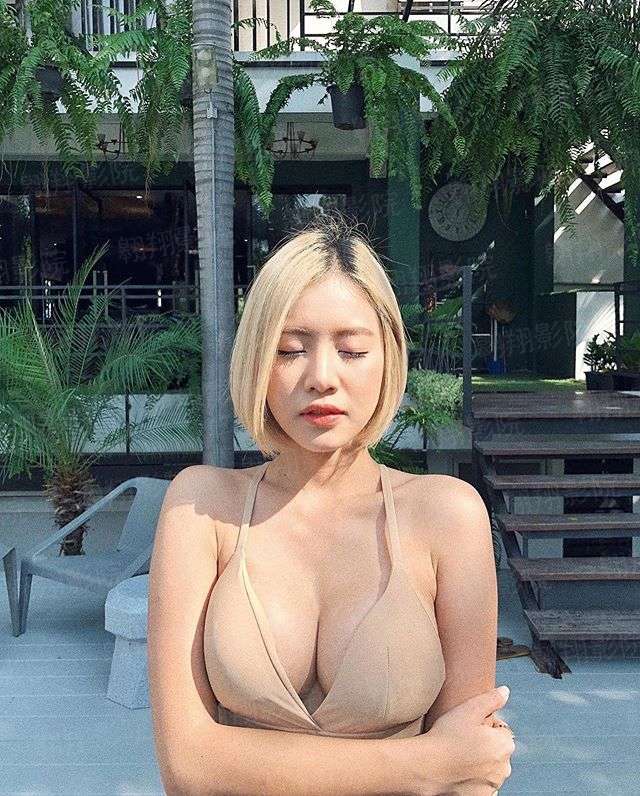 双子枫宁