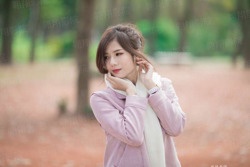 一只猫妖出墙来