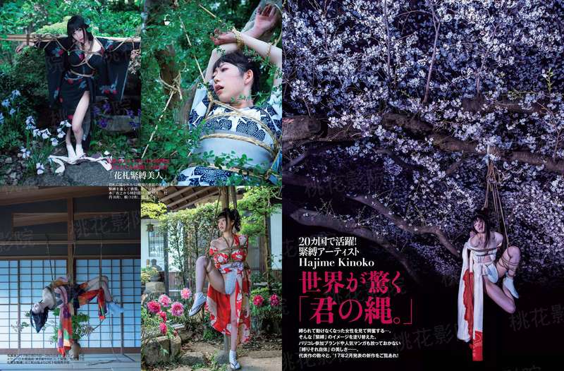 首席的强娶豪夺：离婚365次
