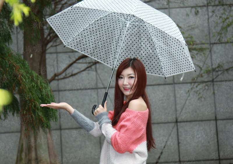 乐队的夏天 第一季