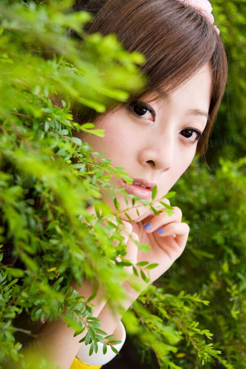 大宋神级赘婿