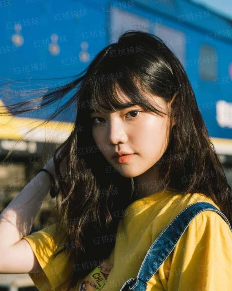青云争仙