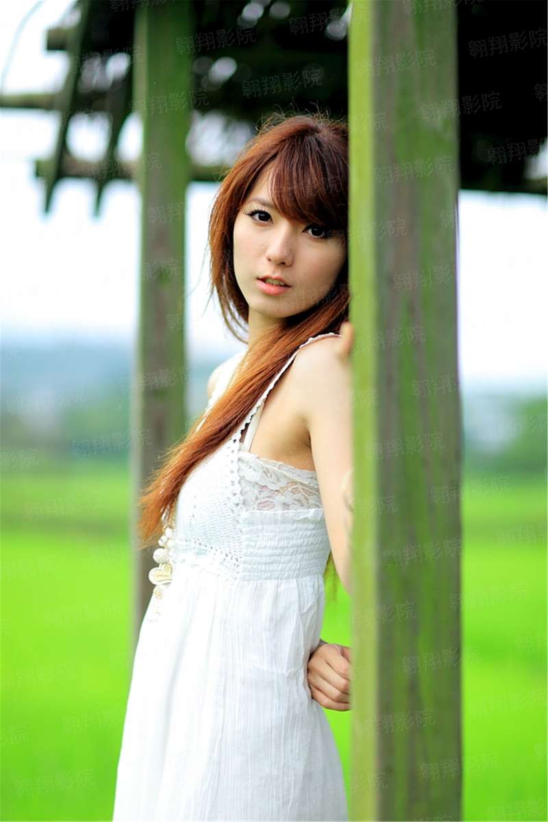 鹧鸪之声