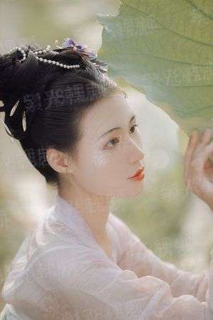 妃手遮天：美人魅影