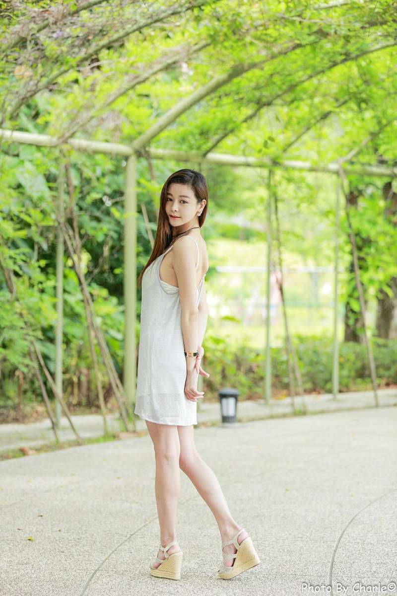 苏牧叶挽秋小说全文免费阅读完整版