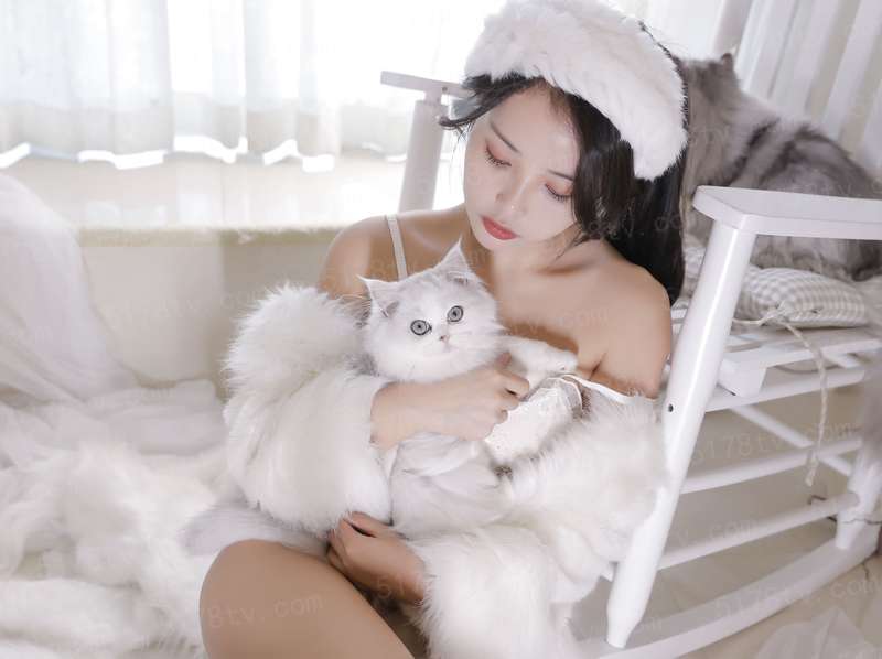 科搜研之女 第21季