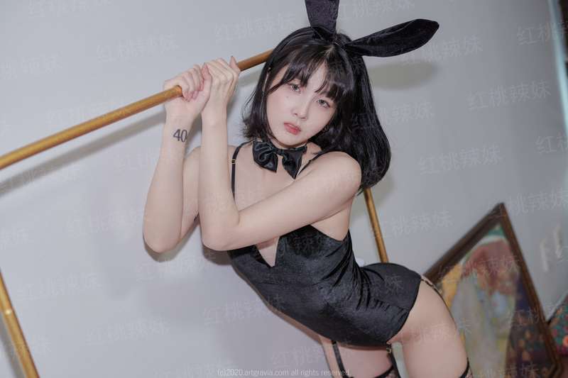 我心闪亮