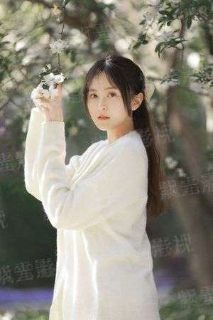 五种元素
