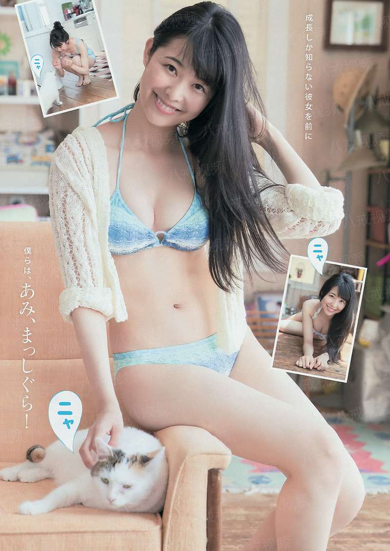 铁拳行动